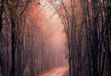 南宫28：张小楠、熊诗芮包揽亚冬会单板滑雪女子坡面障碍技巧金银牌央视新闻客户端.