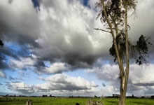 南宫28：斯基拉：诺丁汉森林有意引进尤文图斯中场道格拉斯-路易斯.