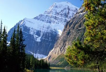 南宫28：泰晤士：阿森纳希望今夏回收资金，维埃拉、津琴科等六人或被清洗.